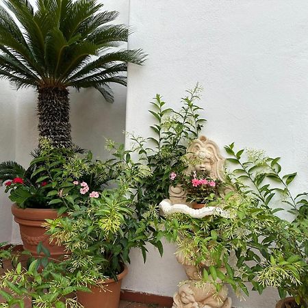 Hotel Park Calitto Forio  Exterior photo