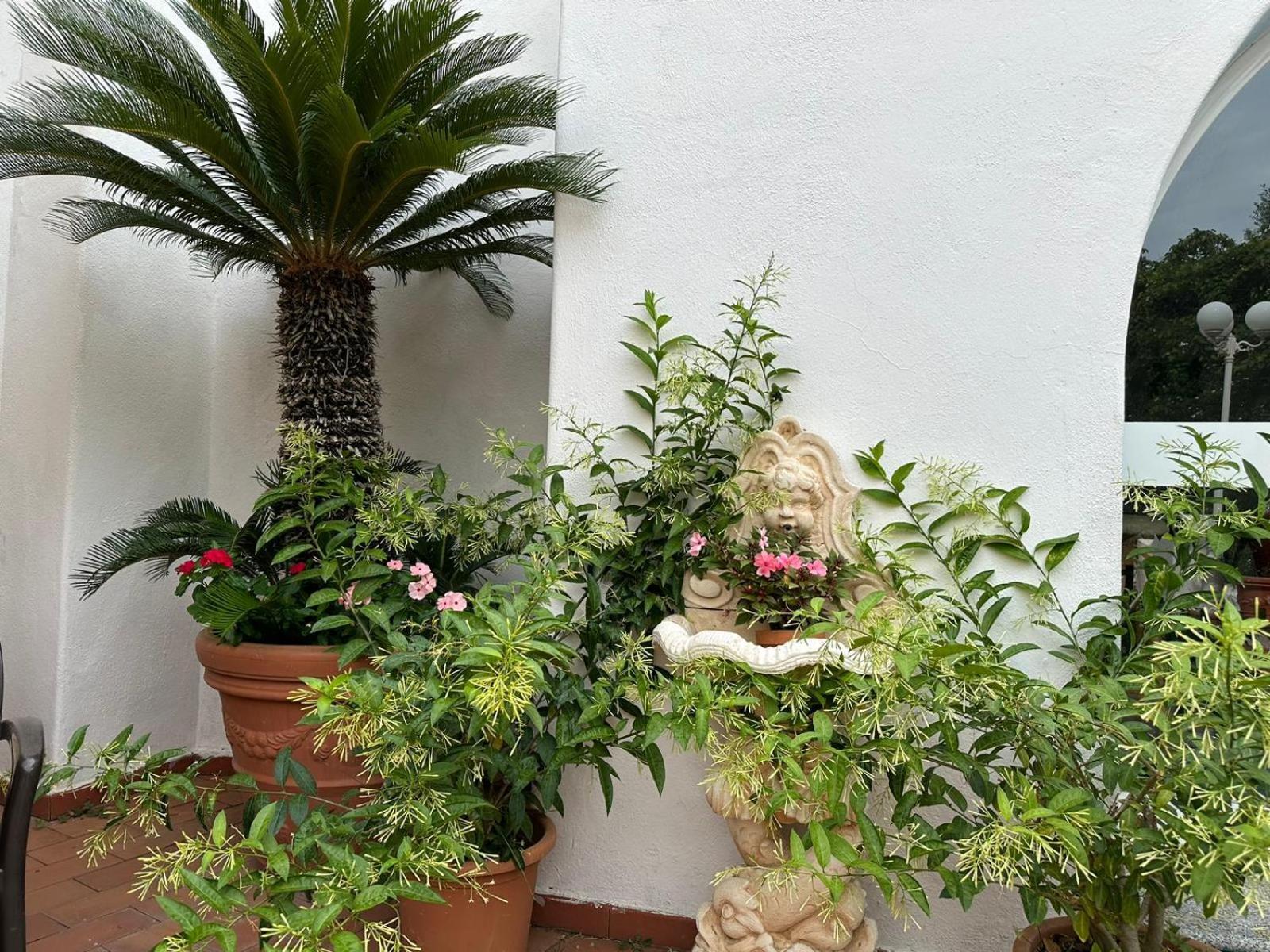 Hotel Park Calitto Forio  Exterior photo