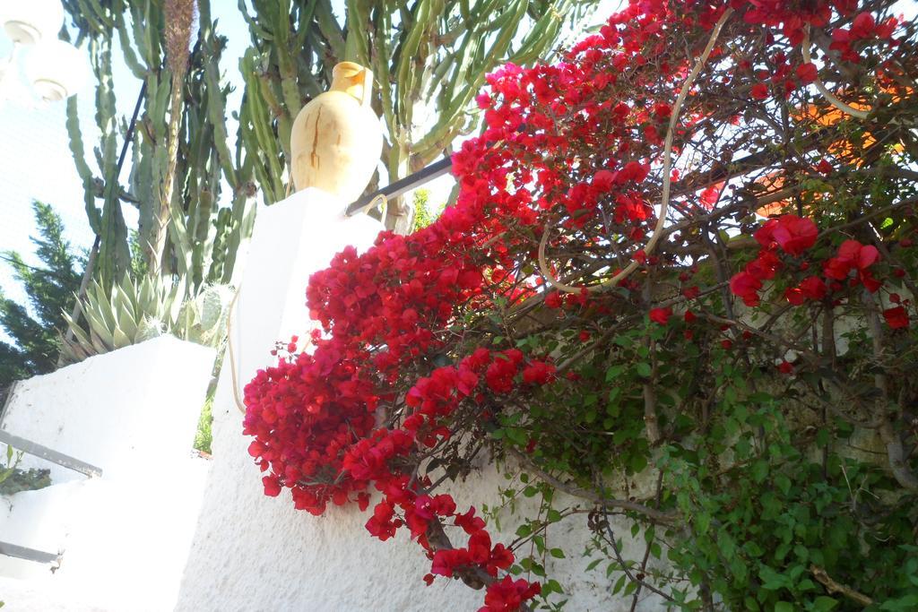 Hotel Park Calitto Forio  Exterior photo